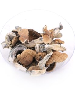cambodian magic mushrooms 2 Cambodian Magic Mushrooms 2 247x296