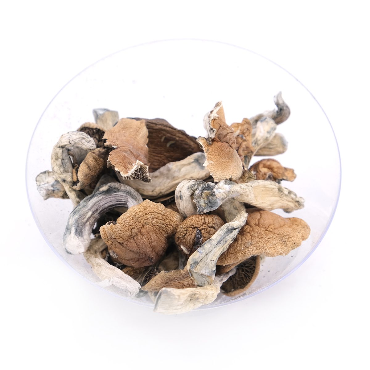 cambodian magic mushrooms 2 cambodian magic mushrooms 2