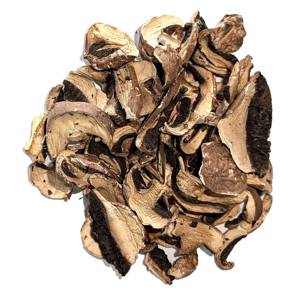 Lemon Tekking Mushrooms educational guide showing fresh lemons, mushroom illustrations, and scientific research concepts