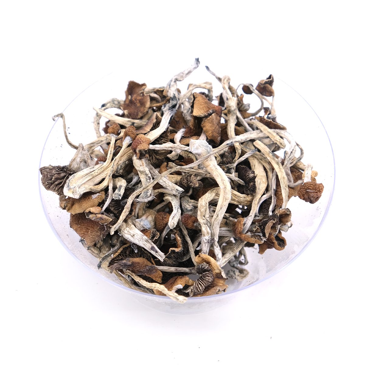 mazatapec magic mushrooms Mazatapec Mushroom