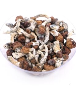 Vietnamese Mushroom