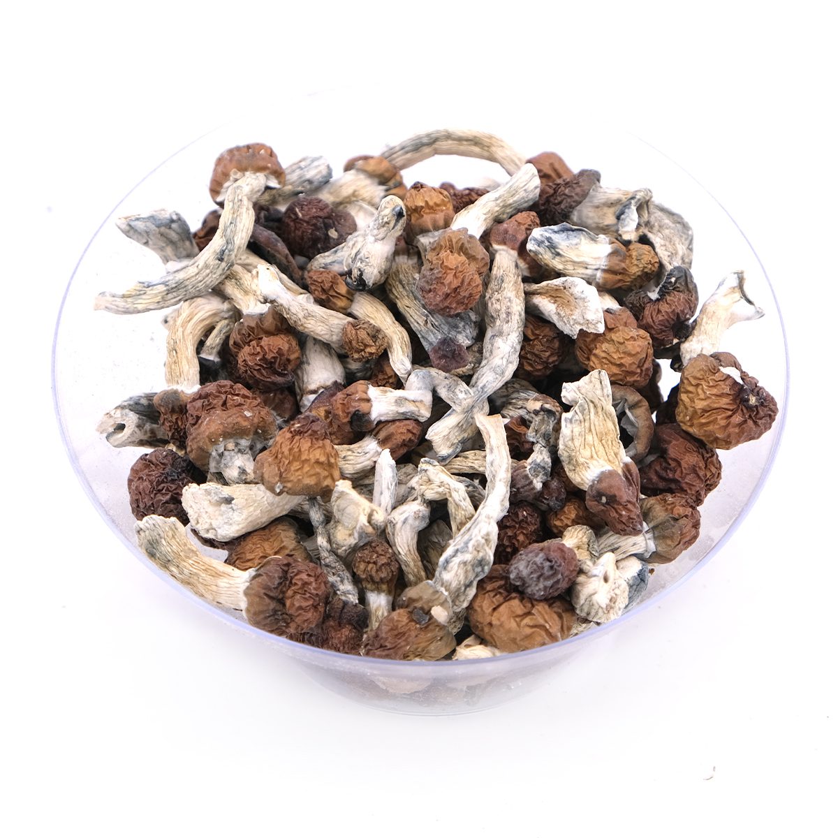 Vietnamese Mushroom