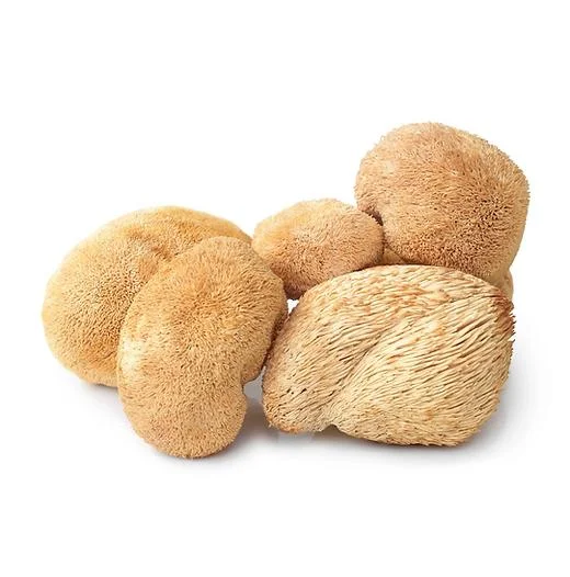 Buy Dried Lion Mane-1kg e89c4574 ac18 46a1 bfe0 0ad5f9adff37 1