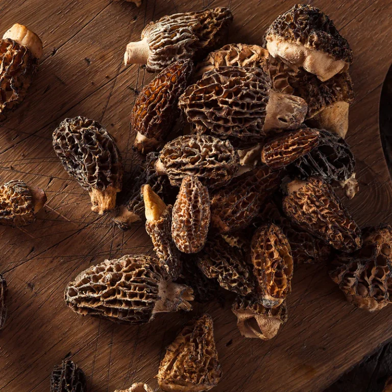 fresh morel mushrooms 1 768x768 1