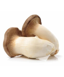 products king oyster mushrooms 01 768x768 1