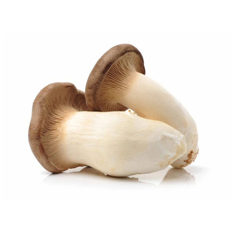 products king oyster mushrooms 01 768x768 1