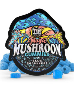 trehouse photo render mushroom gummies blue raspberry flavor