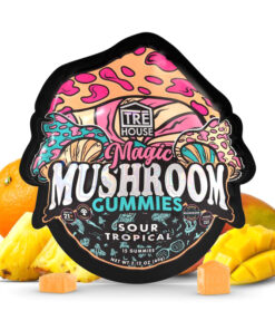 trehouse photo render mushroom gummies sour tropical flavor jan 31 2025
