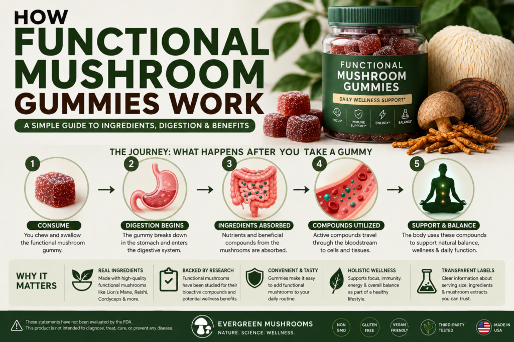 How Functional Mushroom Gummies Work